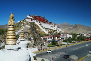 西藏智能生活新篇章，高原奇迹与科技盛宴同在